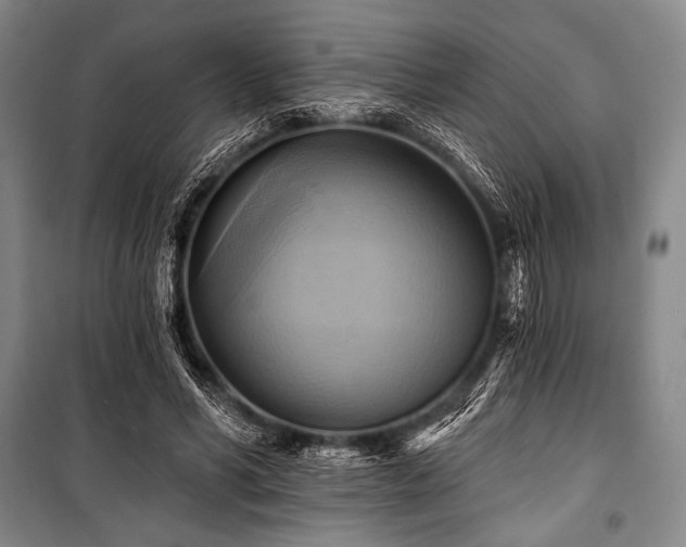 X0000101160590200806271011