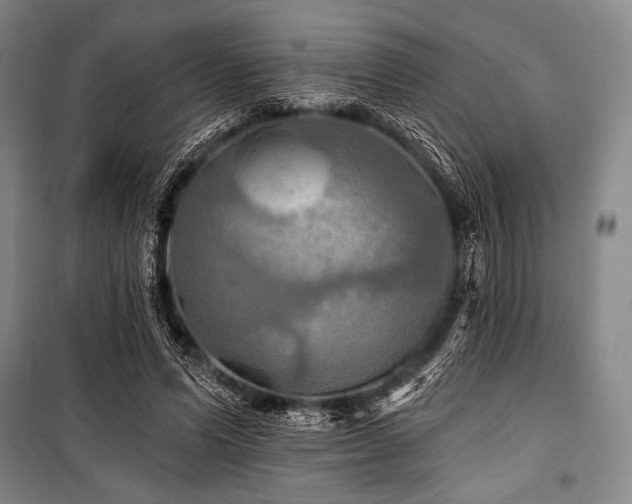 X0000101160591200806271011