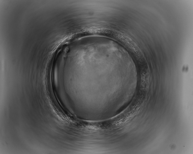 X0000101160592200806271011