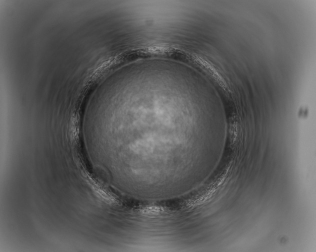 X0000101160593200806271011