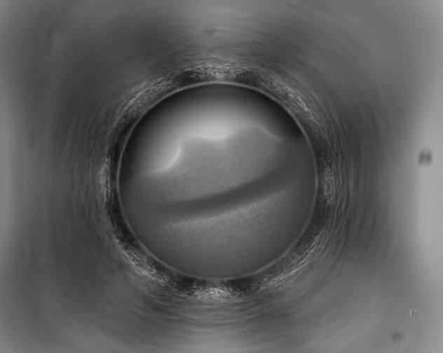 X0000101160594200806271011