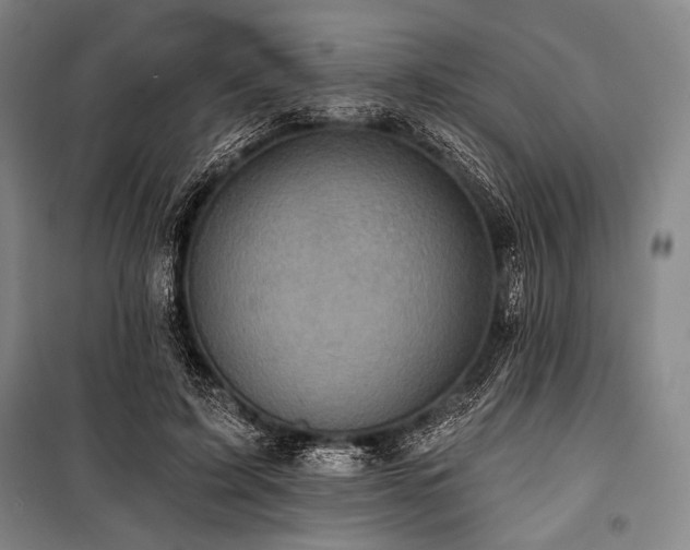X0000101160595200806271011