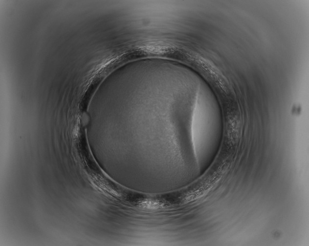 X0000101160596200806271011