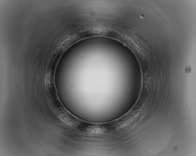 X0000101160597200806271011