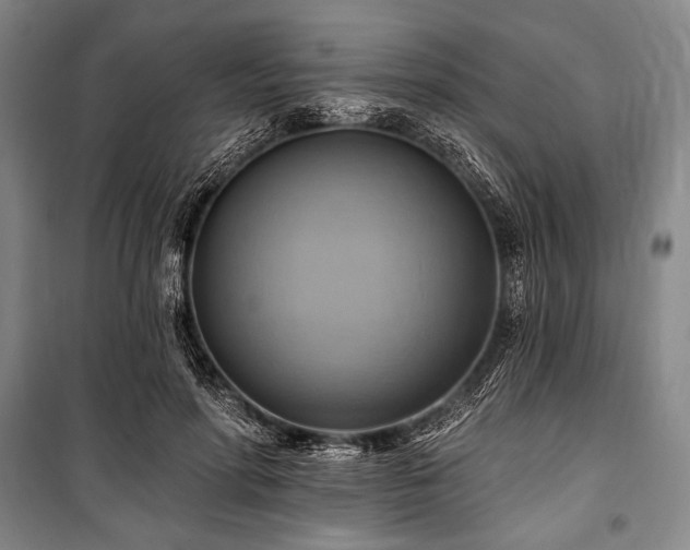 X0000101160598200806271011