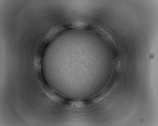 X0000101160599200806271011