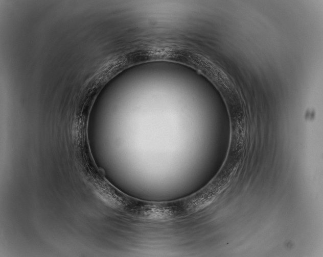 X0000101160601200806271011