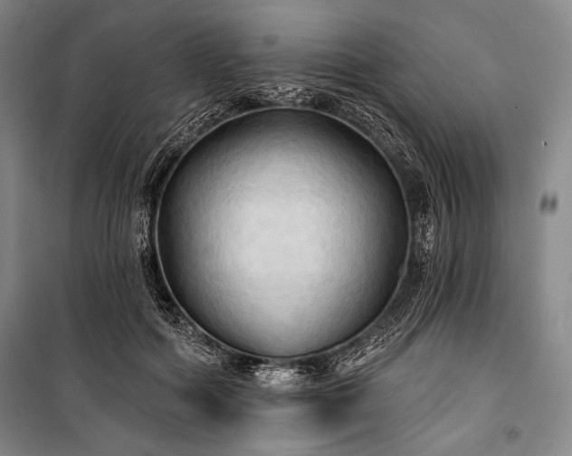 X0000101160602200806271011