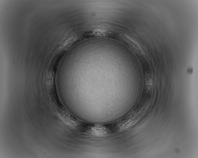 X0000101160603200806271011