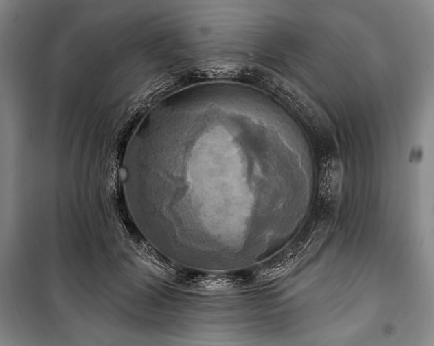 X0000101160604200806271011