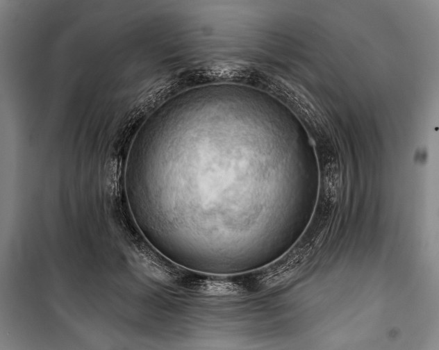X0000101160605200806271011
