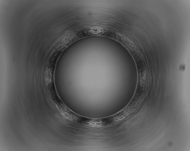 X0000101160606200806271011