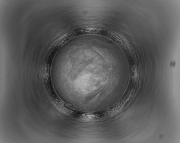 X0000101160607200806271011