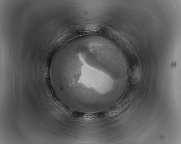 X0000101160608200806271011