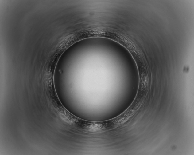 X0000101160609200806271011
