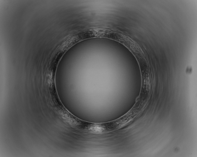 X0000101160610200806271011