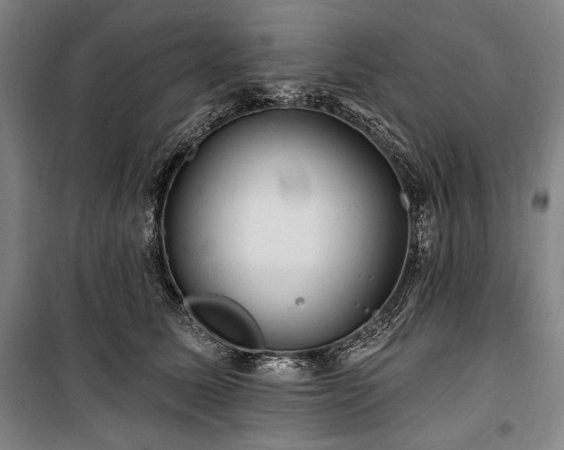 X0000101160611200806271011