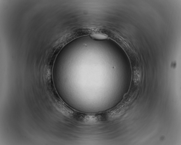 X0000101160613200806271011