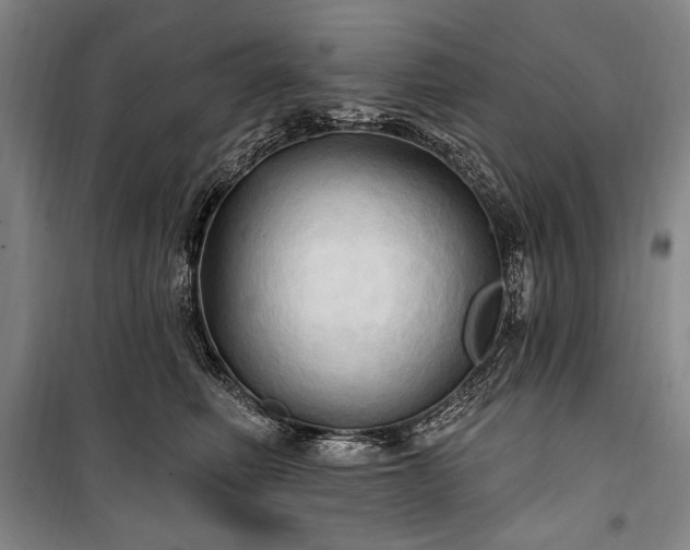 X0000101160614200806271011