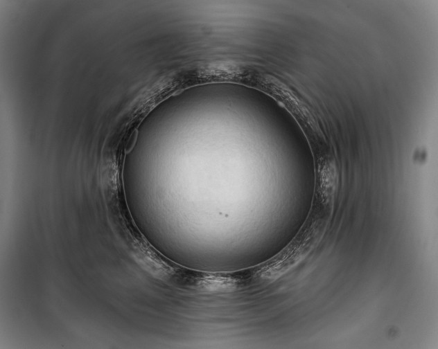 X0000101160617200806271011