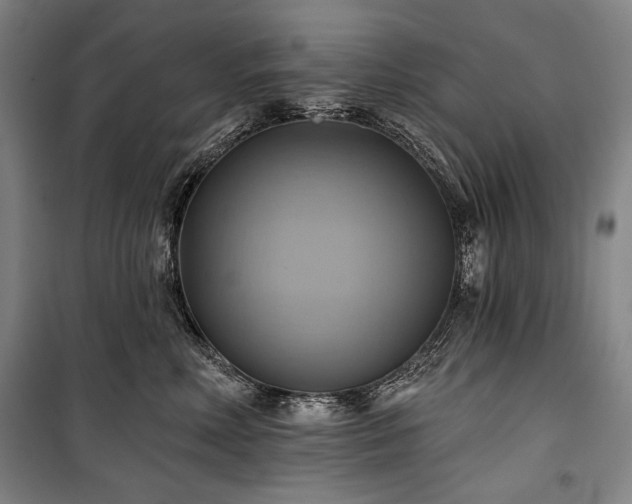 X0000101160618200806271011