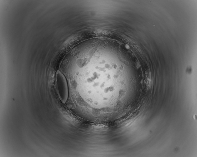 X0000101160619200806271011