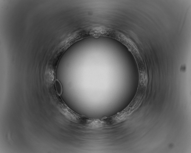 X0000101160621200806271011