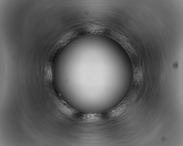 X0000101160622200806271011