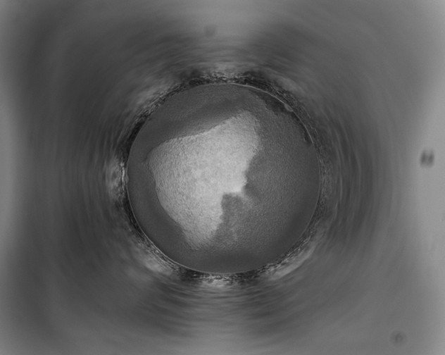 X0000101160624200806271011
