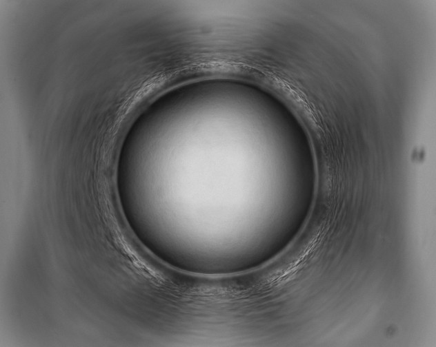 X0000101160625200806271010