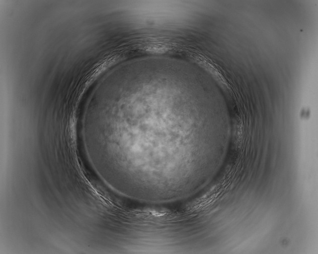 X0000101160626200806271010