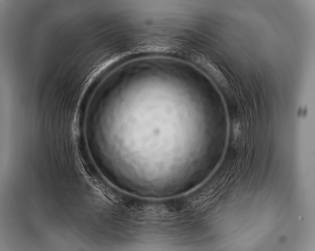 X0000101160628200806271010