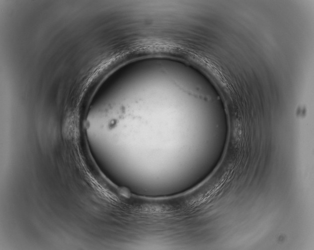 X0000101160629200806271010