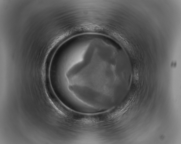 X0000101160630200806271010