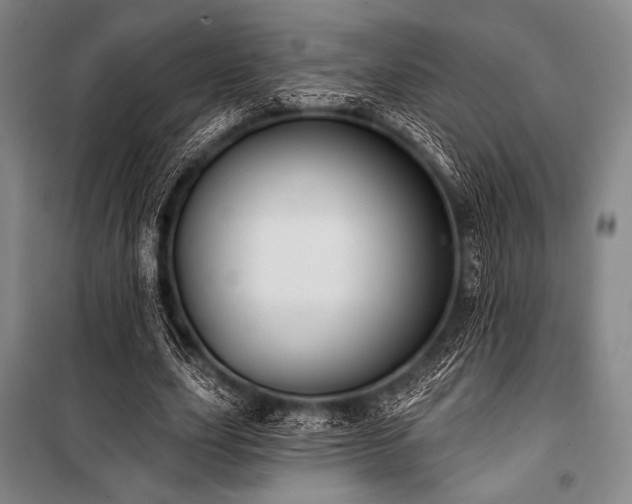 X0000101160631200806271010