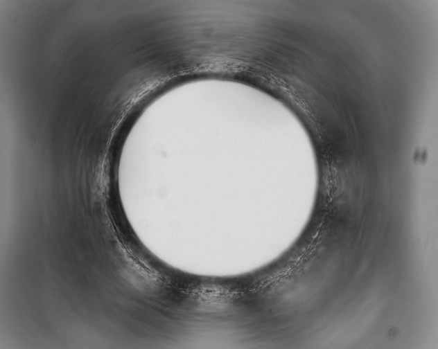 X0000101160632200806271010
