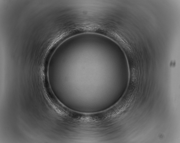 X0000101160634200806271010