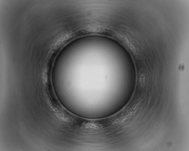 X0000101160635200806271010