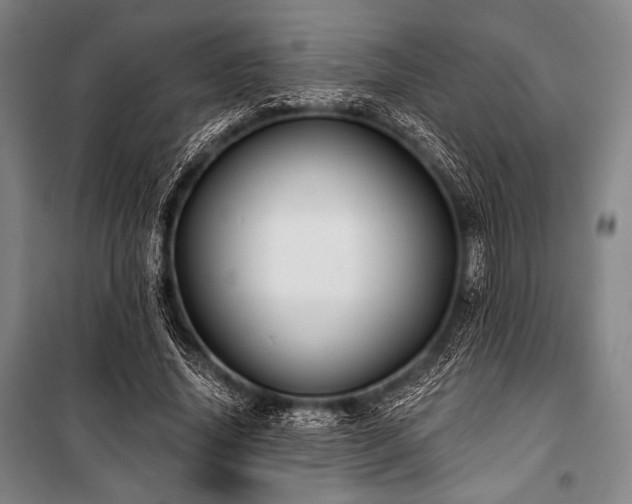X0000101160636200806271010