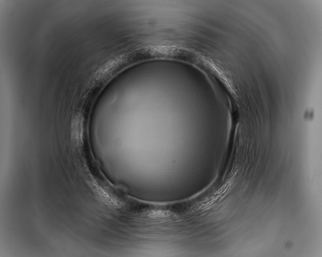 X0000101160637200806271010