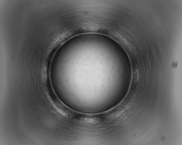 X0000101160638200806271010