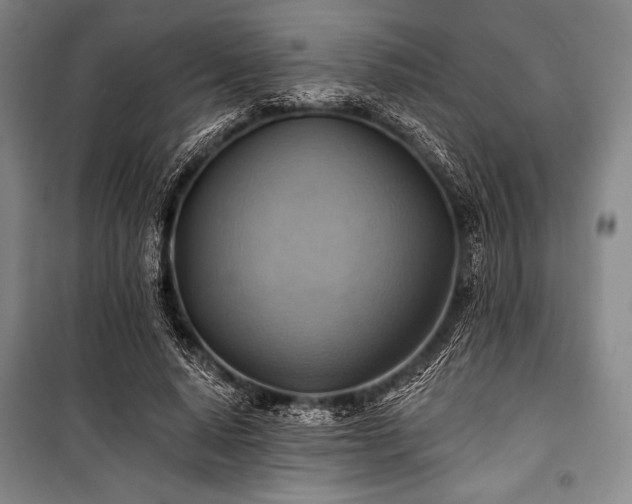 X0000101160640200806271010