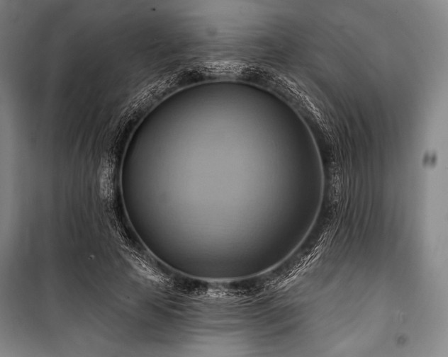 X0000101160641200806271010