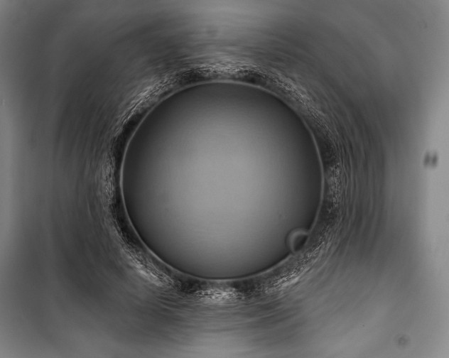 X0000101160642200806271010