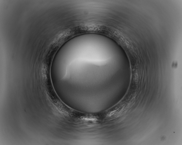 X0000101160643200806271010