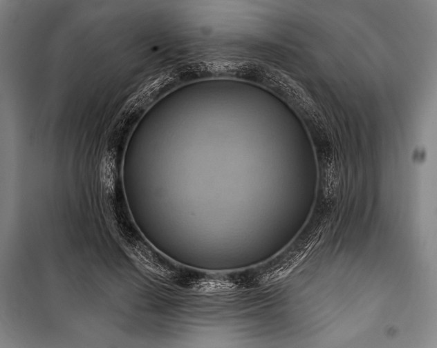 X0000101160644200806271010