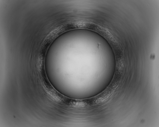 X0000101160645200806271010