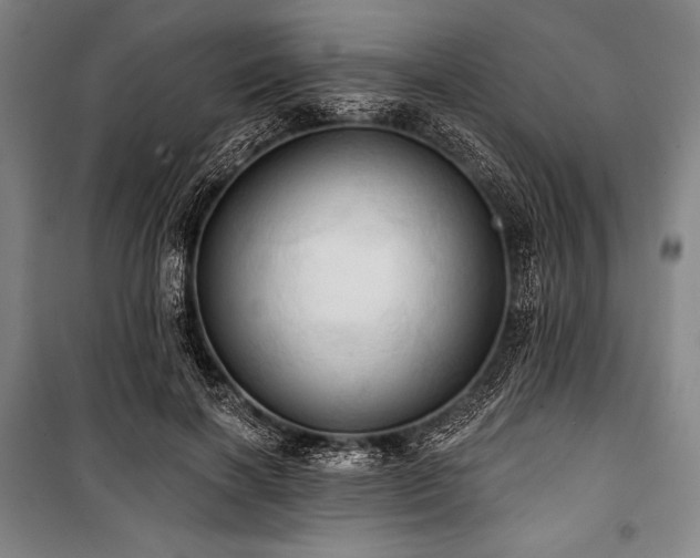 X0000101160646200806271010