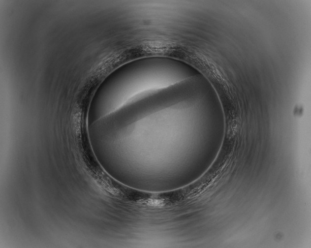 X0000101160647200806271010