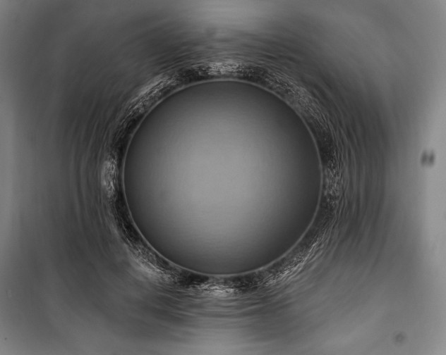 X0000101160648200806271010